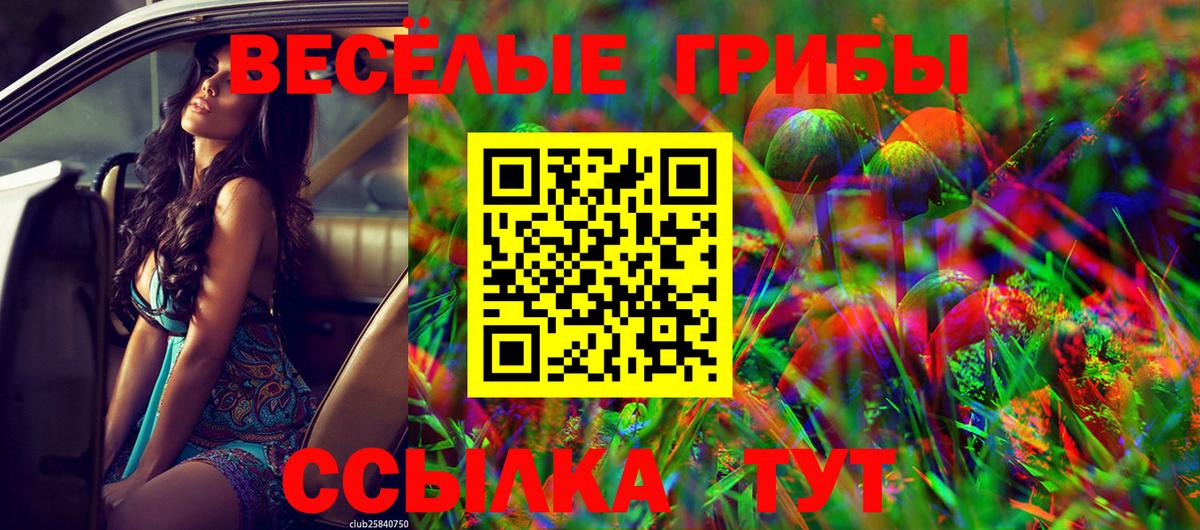 Галлюциногенные грибы Cubensis Котельники
