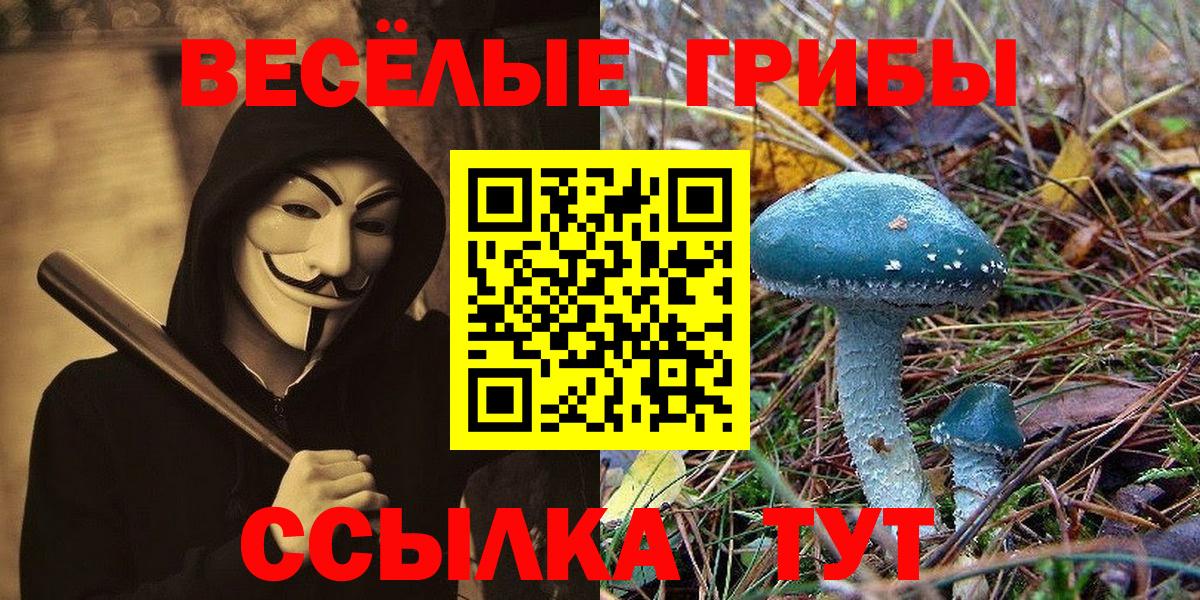 Котельники  Галлюциногенные грибы мицелий  цена наркотик  Псилоцибиновые грибы ЛСД  Вход с VPN 